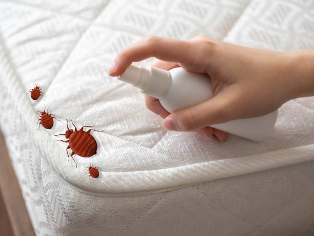 Emergency Pest Control in Horatio, AR